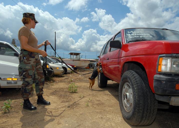 Navy 070329-N-4965F-014 Master-At-Arms 1st Class Jinine Green and her military working dog, Malibu, a 2-year-old Jack Russell Terrier mixed breed, search for drugs during a training exercise on board Naval Station Pearl Harb.jpg en PEARL ...