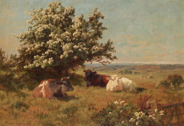Charles Collins - Cows in ameadow.jpg Artwork Charles Collins 1851 �1921 1899 Oil on canvas cm 25 5 35 5 object history credit line signed and dated 1899 accession number http //www sothebys com/en/ecat/lot render html/2006/...