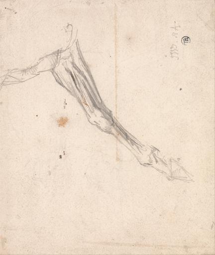 James Ward - Horse's Foreleg- Possibly a Study for "L'Amour de Cheval", Dated 1827, in the Tate Gallery - Google Art Project.jpg Inscribed in graphite lower right JWD RA ; in black ink verso center Study for leg of stallion in the picture ...