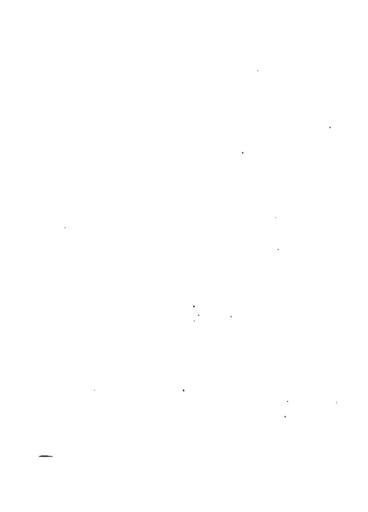 Palmblätter (Gerok) 236.jpg 235 237