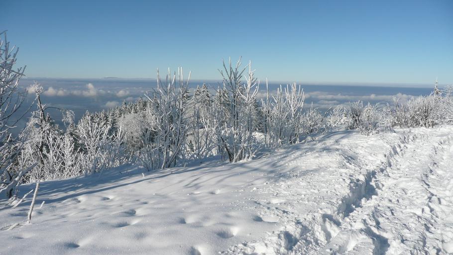 Hochblauen 29.JPG Mountain Hochblauen of the Black Forest near Badenweiler Own 2009-01-01 Brücke-Osteuropa Blauen Badenweiler Views from Hochblauen Snow in Landkreis Lörrach Winter 2008-2009 in Landkreis Lörrach Hoar frost in ...