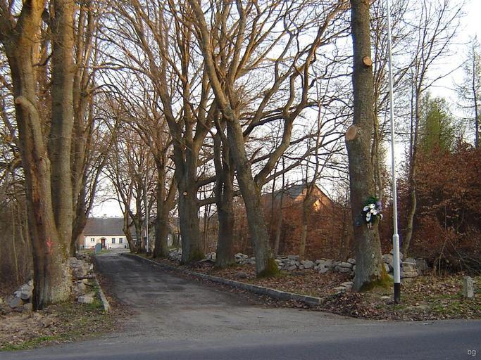 Bąbnica.JPG Bąbnica własne 2010-04-18 Brogaj Gmina Tychowo