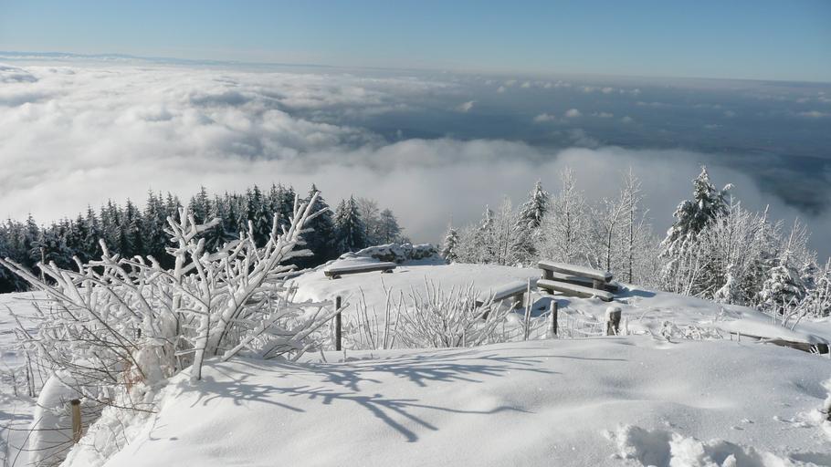 Hochblauen 17.JPG Mountain Hochblauen of the Black Forest near Badenweiler Own 2009-01-01 Brücke-Osteuropa Blauen Badenweiler Views from Hochblauen Snow in Landkreis Lörrach Winter 2008-2009 in Landkreis Lörrach Hoar frost in ...