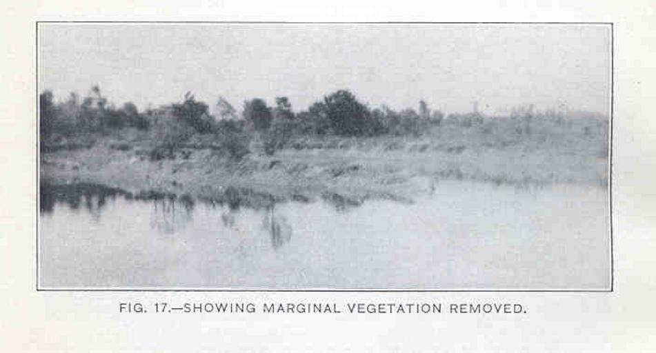 Showing marginal vegetation removed.jpeg check categories 12 September 2015 3 Showing marginal vegetation removed Subject Fish ponds Mosquitoes--Control Tag Limnology 1920 Cite book Fishes in relation to mosquito control in ponds Hildebrand ...