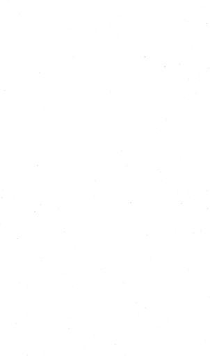 De Hexengold (Werner) 326.PNG 325 327