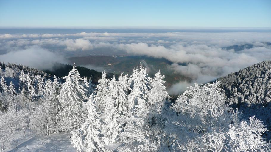 Hochblauen 35.JPG Mountain Hochblauen of the Black Forest near Badenweiler Own 2009-01-01 Brücke-Osteuropa Blauen Badenweiler Views from Hochblauen Snow in Landkreis Lörrach Winter 2008-2009 in Landkreis Lörrach Hoar frost in ...