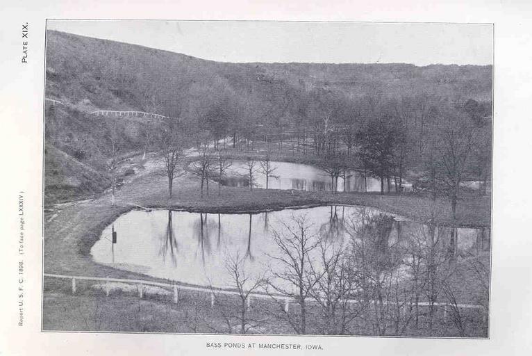 Bass Ponds at Manchester, Iowa.jpeg check categories 15 August 2015 4 Bass Ponds at Manchester Iowa Subject Fish ponds Geographic Subject United States--Iowa--Manchester Tag Hatcheries 1897/1898 Cite book Report on the Propagation and ...