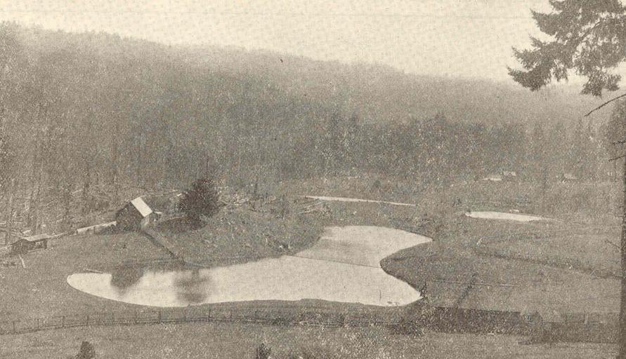 Showing ponds for J B Teal's Private Trout Hatchery, near Falls City.jpeg check categories 17 August 2015 2 Showing ponds for J B Teal's Private Trout Hatchery near Falls City Subject Falls City Oregon Fish hatcheries--Oregon J B Teal's ...