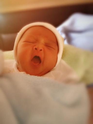 07 ngày tuổi HangVu0410 Hang Vu