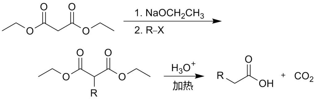 Malonicestersynthesis (zh).png malonic ester synthesis Own 2009-01-30 Choij Organic syntheses