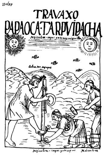 Poma 1615 1165 diciembre.png en p 1165 December PAPA OCA TARPVI PACHA Time of planting potatoes and uqa see original and comments on http //www kb dk/permalink/2006/poma/1175/en/text/ open id2978806 Guaman Poma Website fr Décembre temps de ...
