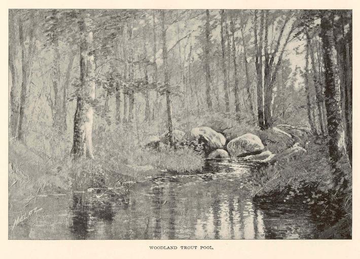 FMIB 41611 Woodland Trout Pool.jpeg check categories 17 August 2015 1 Woodland Trout Pool Subject Ponds--New York State Tag Limnology 1899 Cite book Annual report of the Commissioners of Fisheries Game and Forests of the State of New York ...
