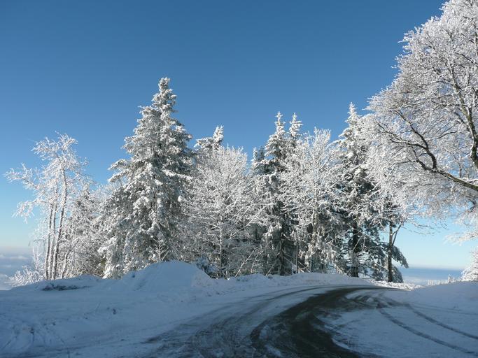 Hochblauen 12.JPG Mountain Hochblauen of the Black Forest near Badenweiler Own 2009-01-01 Brücke-Osteuropa Blauen Badenweiler Snow in Landkreis Lörrach Winter 2008-2009 in Landkreis Lörrach Hoar frost in Baden-Württemberg