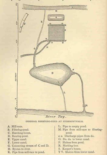 Original Breeding-Pond at Stormontfield.jpeg check categories 3 September 2015 3 Original Breeding-Pond at Stormontfield Subject Fish ponds Stormontfield Scotland Geographic Subject Scotland--Stormontfield Tag Hatcheries 1873 Cite book ...