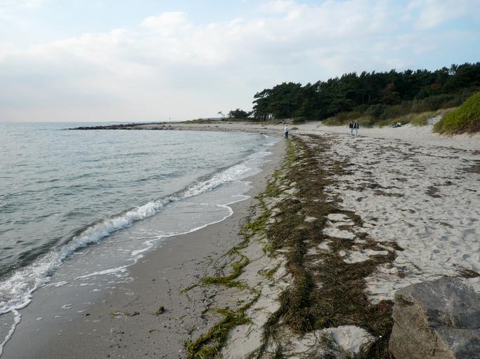ThiessowEndhaken.jpg en Beach Endhaken near Thiessow Ruegen own Ramessos 2009-09 Thiessow Coasts of Mecklenburg-Vorpommern