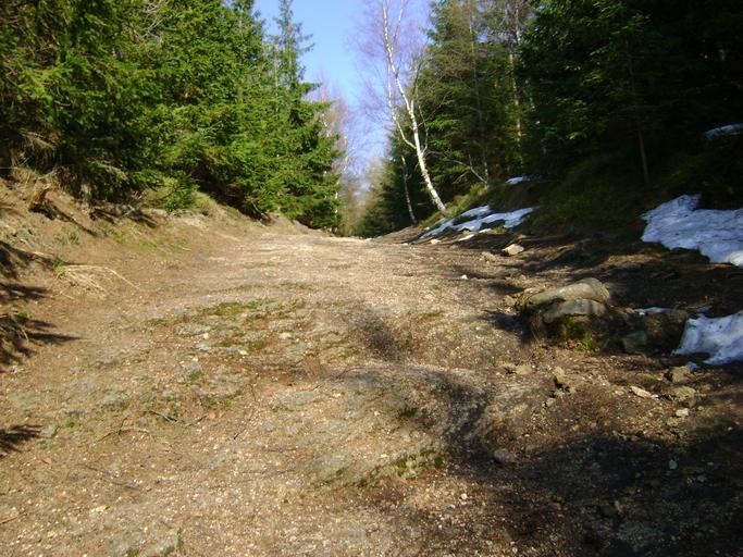 Skalnik mit3.JPG pl Skalnik-wzniesienie w południowo-zachodniej Polsce w Rudawach Janowickich Sudety Zachodnie woj dolnośląskie Droga i szlak turystyczny prowadzący na Skalnik od strony południowej own Timaska 2009-04-14 Rudawy ...