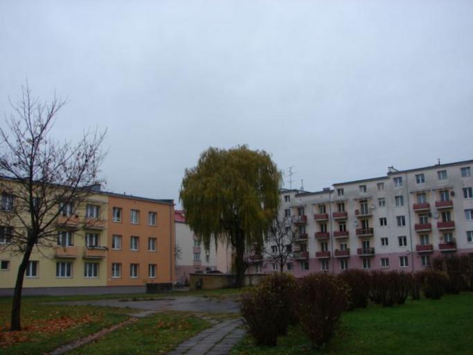 Teren po kościele Trzech Króli w Elblągu.jpg pl Elbląg - miejsce w którym stał kościół Trzech Króli Zbiory własne Bartezoo 2010-11-06 Three Wise Men church in Elbląg