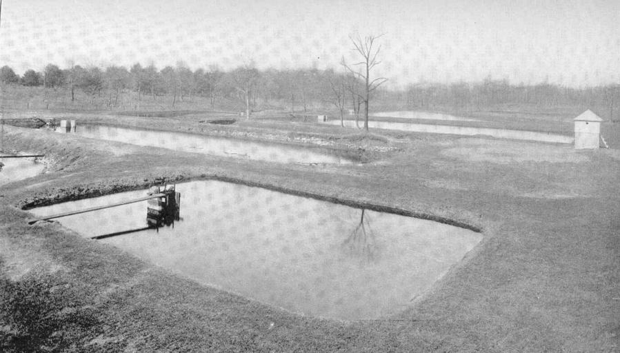 Black Bass Ponds Constantia, 1912.jpeg check categories 19 September 2015 3 Black Bass Ponds Constantia 1912 Subject Fish ponds Fish hatcheries--New York State Constantia Hatchery New York State Tag Hatcheries 1912 Cite book Extract from ...