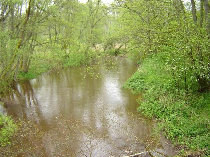 Parsęta pod St. Dębnem.JPG pl Parsęta z mostu pod Starym Dębnem własne Brogaj 2010-05-16 Stare Dębno Parsęta