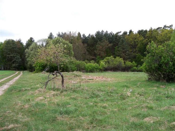 Radzewo..jpg pl Radzewo - Gmina Tychowo własne Brogaj 2011-05-08 Cc-zero Radzewo powiat białogardzki