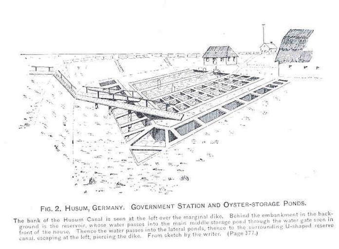 Germany Government Station and Oyster-Storage Ponds.jpeg check categories 15 August 2015 3 Husum Germany Government Station and Oyster-Storage Ponds Subject Oyster culture Fish ponds Geographic Subject Germany--Schleswig-Holstein--Husum Tag ...