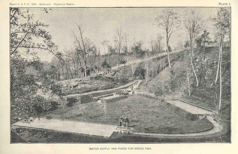 Wytheville Station, Virginia.jpeg check categories 15 August 2015 3 Wytheville Station Virginia Water Supply and Ponds for Brood Fish Subject Fish ponds Whtyeville Station Virginia Geographic Subject United States--Virginia--Wytheville Tag ...