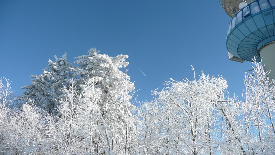 Hochblauen 28.JPG Mountain Hochblauen of the Black Forest near Badenweiler Own 2009-01-01 Brücke-Osteuropa Blauen Badenweiler Snow in Landkreis Lörrach Winter 2008-2009 in Landkreis Lörrach Hoar frost in Baden-Württemberg