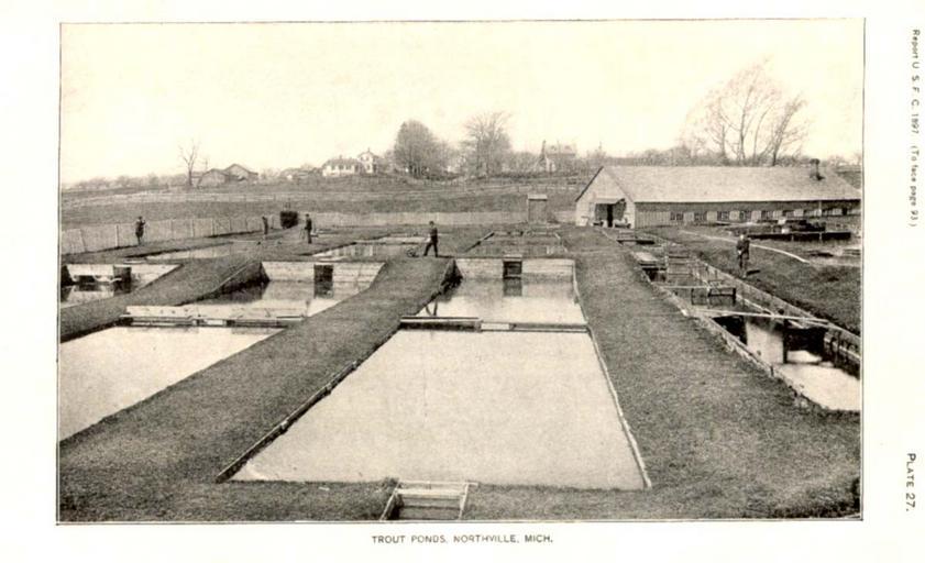 FMIB 33436 Trout Ponds.jpeg check categories 18 September 2015 4 Trout Ponds Northville Michigan Subject Fish ponds Geographic Subject United States--Michigan--Northville Tag Hatcheries 1897 Cite book Manual of fish-culture based on the ...