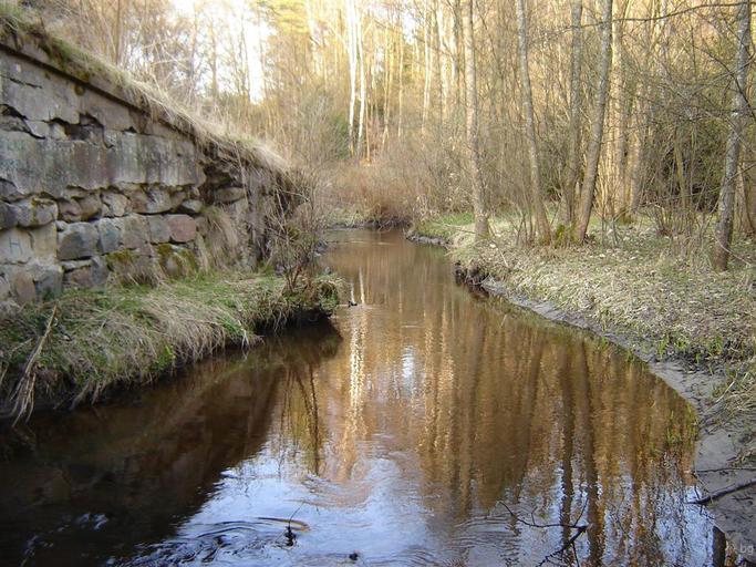 Leszczynka..JPG pl Leszczynka przed Starym Młynem własne Brogaj 2010-04-14 Leszczynka river Gmina Tychowo