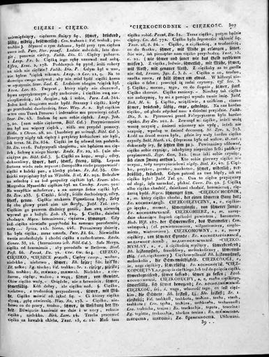 Slownik jezyka polskiego tom 1 307.jpg 306 308