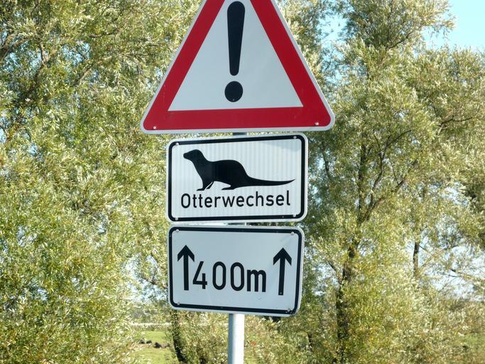 OtterVerkehrszeichen.jpg en Otter on a traffic sign own Ramessos 2009-09 Additional road signs in Germany Otter-related warning road signs