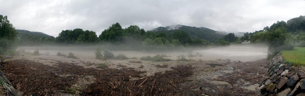 Hochwasser 2009 Traisen Wilhelmsburg Holz Panorama.jpg Hochwasser 2009 an der Traisen in Wilhelmsburg Angeschwemmte Holzteile own 28 Juni 2009 18 50 AleXXw 48 4 42 1 N 15 35 28 4 E Traisen Floods 2009 Driftwood Pictures by User AleXXw