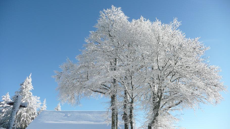 Hochblauen 26.JPG Mountain Hochblauen of the Black Forest near Badenweiler Own 2009-01-01 Brücke-Osteuropa Blauen Badenweiler Snow in Landkreis Lörrach Winter 2008-2009 in Landkreis Lörrach Hoar frost in Baden-Württemberg