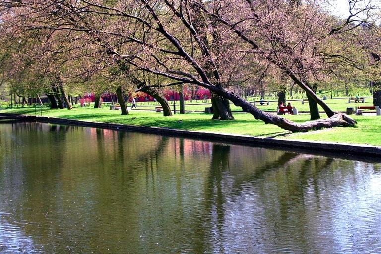 Wejehrowo park.jpg pl Park Majkowskiego w Wejherowie Own Riven Aleksander Majkowski Park in Wejherowo