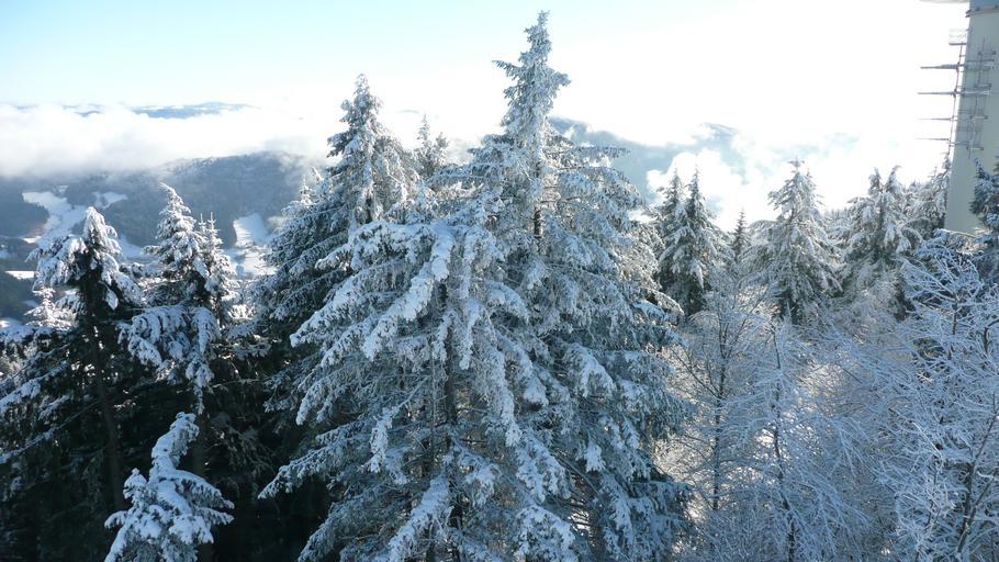 Hochblauen 39.JPG Mountain Hochblauen of the Black Forest near Badenweiler Own 2009-01-01 Brücke-Osteuropa Blauen Badenweiler Snow in Landkreis Lörrach Winter 2008-2009 in Landkreis Lörrach