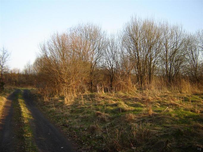 Kościanka.JPG pl Widok byłej osady Kościanka w Gminie Tychowo View of the former village in the municipality Tychowo Kościanka własne Brogaj 2010-04-18 Gmina Tychowo Taken with Sony DSC-S60