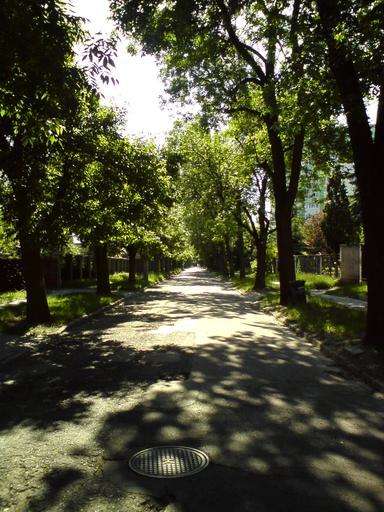 Ulica Aleksandra Zelwerowicza w Łodzi.jpg pl Ulica Aleksandra Zelwerowicza w Łodzi widok od strony ul Edukacyjnej Own Batwingwashere 2009-05-26 Zelwerowicza Street in Łódź