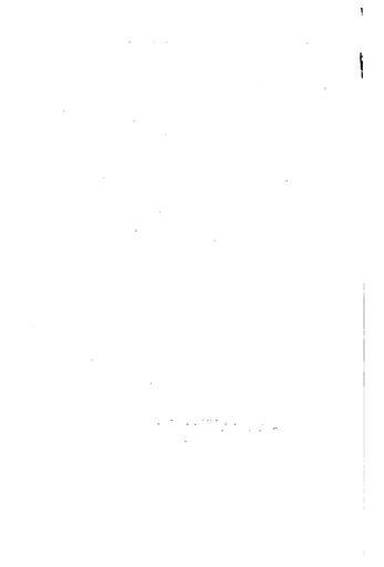 Illustrirte Geschichte der Buchdruckerkunst (Faulmann) 406.jpg 405 407