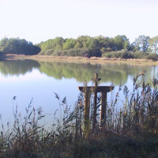 Etang de Sologne.jpeg en Pond in Sologne fr Etang de Sologne own Coeur Val de Loire specification 47 32 40 9 N 1 44 41 8 E Sologne Ponds in Loir-et-Cher Geomorphology of Cher