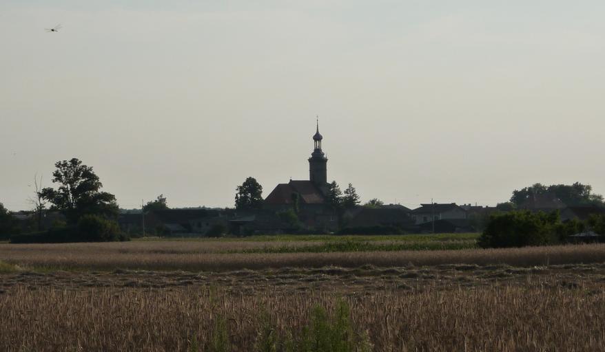 Panorama od strony lasu.jpg pl Panorama Potarzycy od strony lasu own Geograf86 Potarzyca Jarocin County
