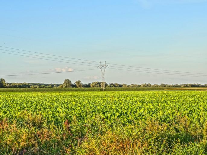 Otorowo 7 08-2014.jpg pl Otorowo gmina Solec Kujawski powiat bydgoski województwo kujawsko-pomorskie Widok z wiślanego wału przeciwpowodziowego 2014-08-19 19 09 28 own Pit1233 53 086448055556 18 158366388889 cc-zero Otorowo Uploaded with ...