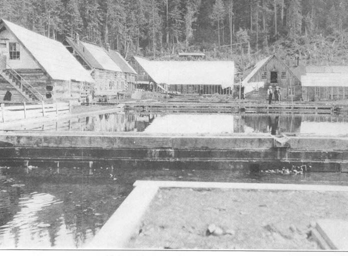 Rearing ponds at Fortmann Hatchery.jpeg check categories 29 August 2015 3 Rearing ponds at Fortmann Hatchery Subject Fish hatcheries--Alaska Fish ponds Fortmann Hatchery Alaska Geographic Subject United States--Alaskaa--Fortmann Hatchery ...