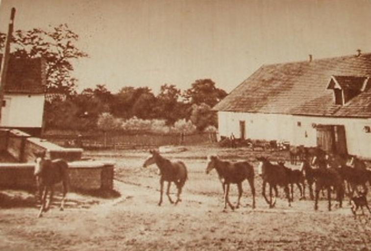 Koszyce Wielkie 1929 folwark Sanguszkow.jpg Koszyce Wielkie k Tarnowa Fragment folwarku Sanguszków 1929 Wiedza o Polsce - Tom 3 1929 Radlna15 PD-old Original upload log pl wikipedia Koszyce+Wielkie+1929+folwark+Sanguszkow jpg wikitable - ...