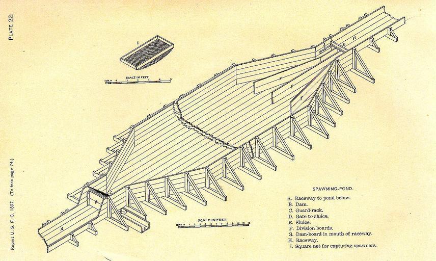 FMIB 33523 Spawning-Pond.jpeg check categories 18 September 2015 3 Spawning-Pond Subject Fish ponds Fish hatcheries Tag Hatcheries 1897 Cite book Manual of fish-culture based on the methods of the United States Commission of Fish and ...