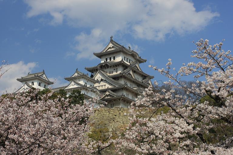 Himeji cherry blossoms.jpg en Cherry blossoms in Himeji-jo own Jason Hsu 2008-04-03 Sakura at Himeji Castle Himeji Castle Keep Tower