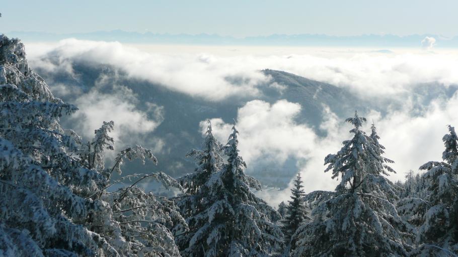 Hochblauen 43.JPG Mountain Hochblauen of the Black Forest near Badenweiler Own 2009-01-01 Brücke-Osteuropa Blauen Badenweiler Views from Hochblauen Snow in Landkreis Lörrach Winter 2008-2009 in Landkreis Lörrach Views of the Alps from ...