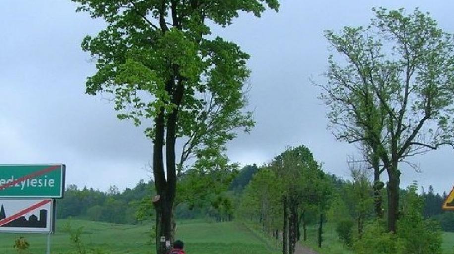 Sikornik. mit.jpg pl Sikornik � wzniesienie w południowo-zachodniej Polsce w Sudetach na Wysoczyźnie Międzylesia województwo dolnośląskie own Timaska 2009 Widok na północno-zachodnią stronę wzniesienia od strony Międzylesia Gmina ...