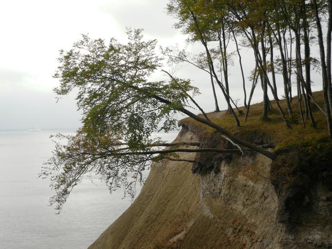 JasmundSteilkueste2.jpg en Receding coast-line on Jasmund Ruegen own Ramessos 2009-09 Coast of Rügen Coasts of Mecklenburg-Vorpommern