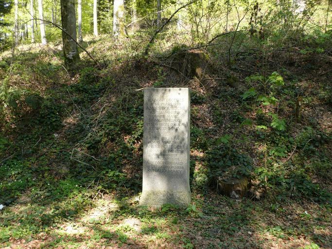 AndreBoullocheMort.jpg en The place where the Andre Boulloche died in an airplane accident on the south-western slope of mount Blauen in the Black Forest Germany Own Ramessos 2009-04 DEFAULTSORT Boulloche Andre History of Montbéliard ...