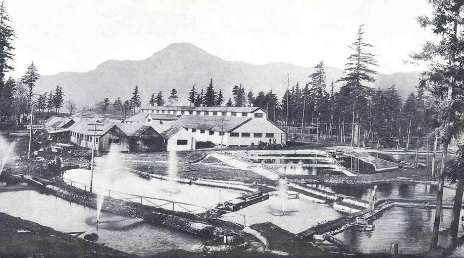 Bonneville Samon Hatchery of the Oregon Fish and Game Commission, Showing Rearing Ponds.jpeg check categories 15 August 2015 3 Bonneville Samon Hatchery of the Oregon Fish and Game Commission Showing Rearing Ponds Subject Fish hatcheries ...